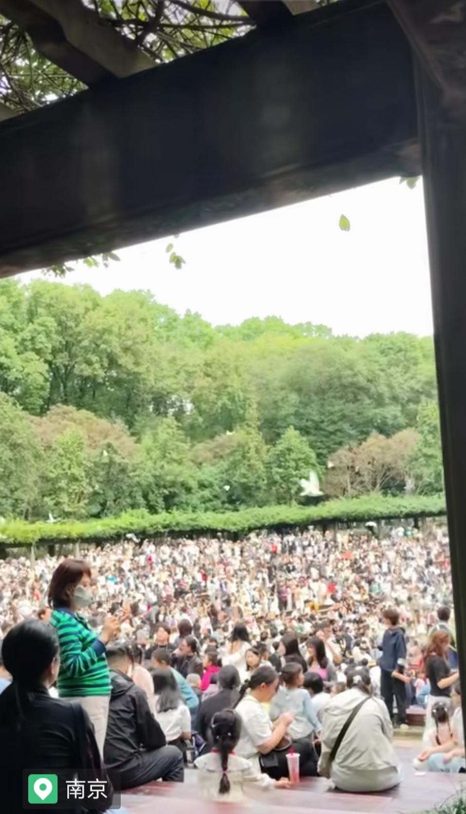 昨天开车路过太平门，看到玄武湖湖面上飘满了鸭子船，太平门街通往玄武湖的路上也都是
