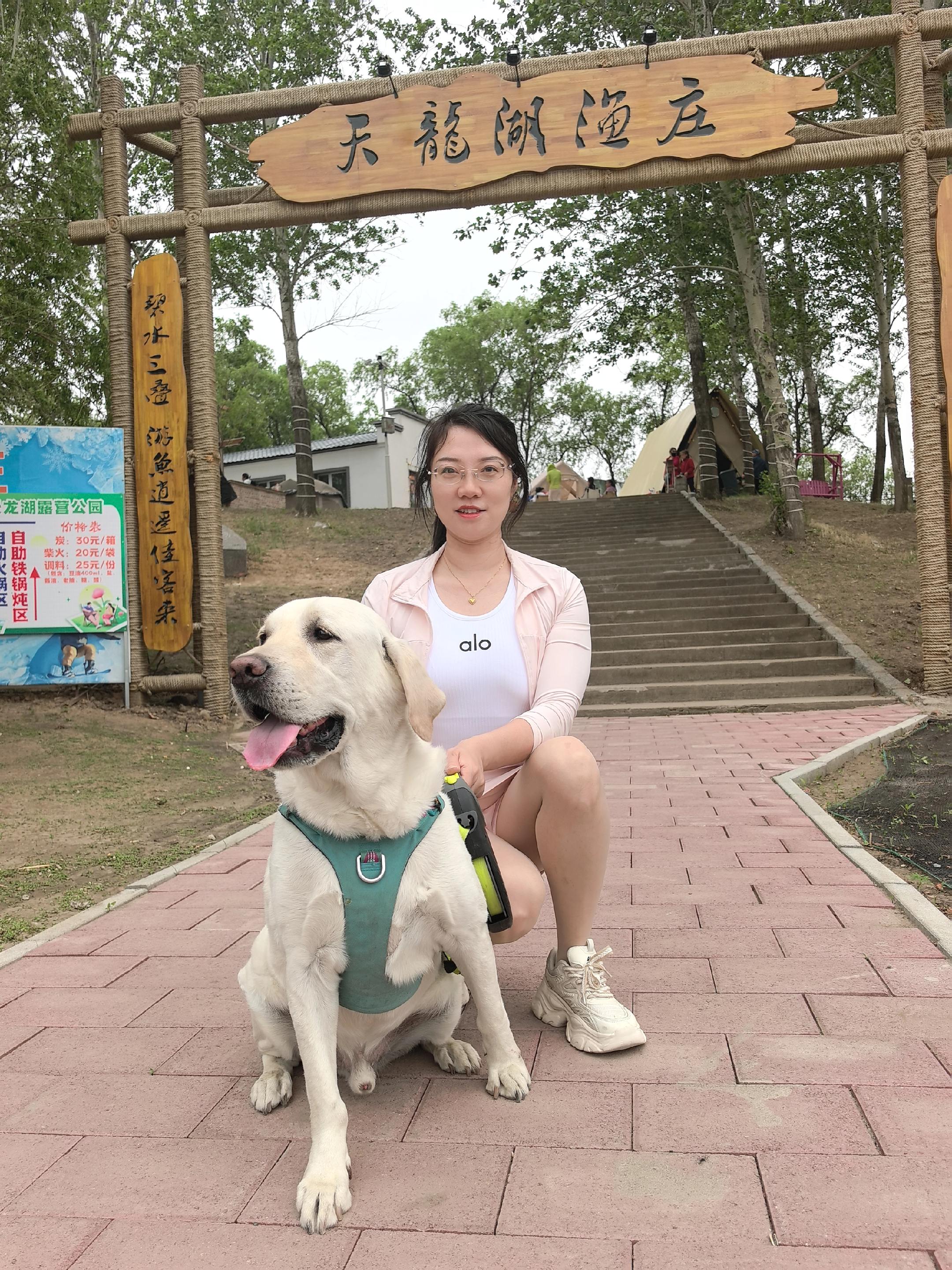 弟弟们猜猜猜？这是小狼狗还是小奶狗?