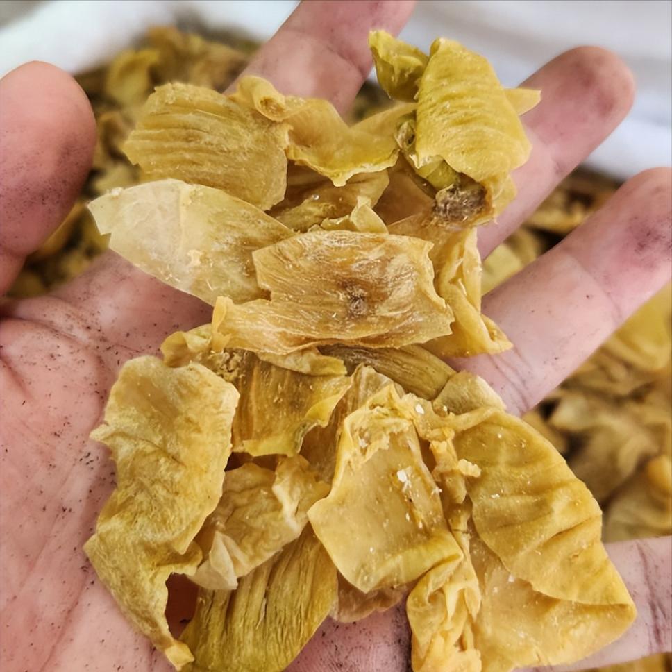 脾虚，人就响，清阳升不上去！1张调脾止鸣方，耳朵不好的人记好大家好，我是中医陈