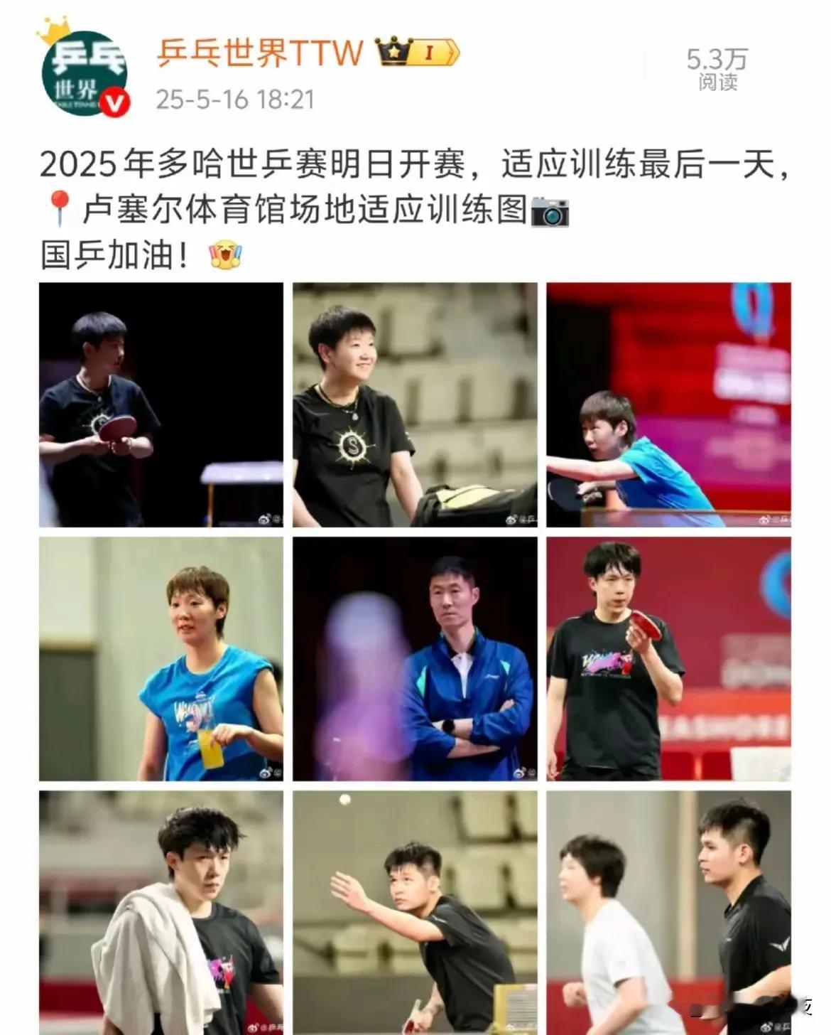 王励勤看到这张九宫格后，一定会批评“乒乓世界WTT”的！[捂脸哭]明天多哈世乒赛
