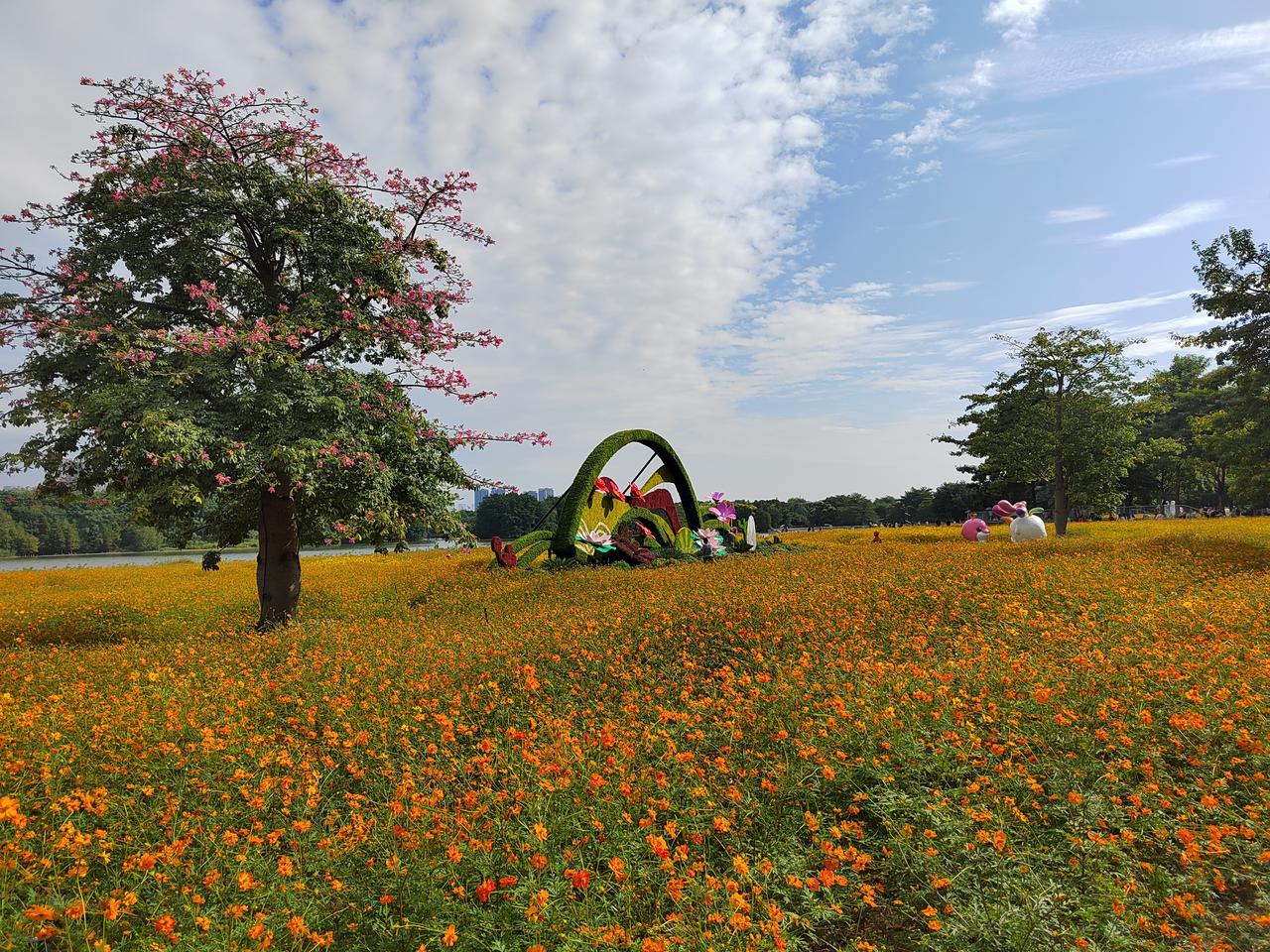 股市里最扎心的讽刺：对投机挥金如土，对本金斤斤计较股市里人性最大的讽刺：