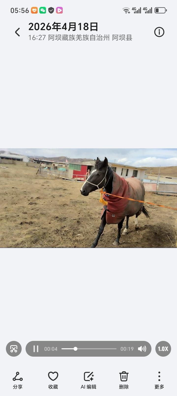 牛的速度较慢，易于与人配合。而马一旦奔跑起来就难以控制。从体型方面来看，牛就如同