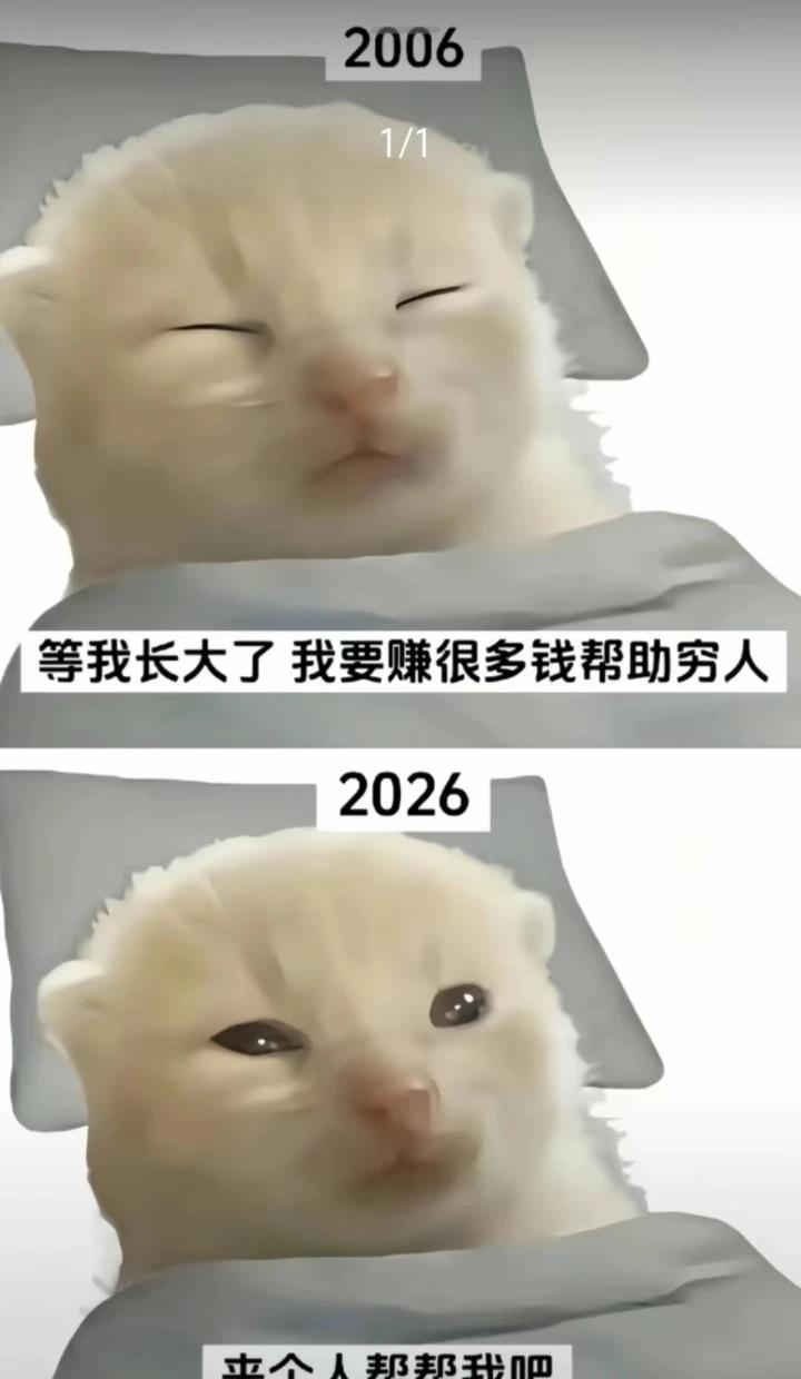 今日份梗图此图有梗meme梗图