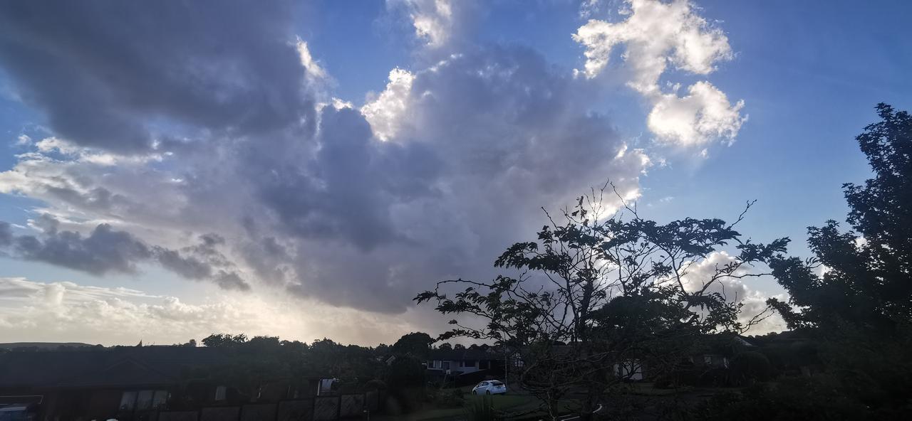 黑云压城。奥克兰的天空真的是没准，一会阳光普照，一会狂风暴雨，这一天就变换了十多