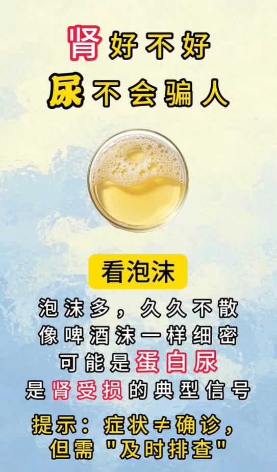 肾好不好看尿液，细密泡沫久久不散，当心蛋白尿