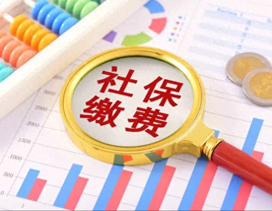 社保到底怎么缴? 缴了有啥用、断缴影响大不大, 一次给你讲明白
