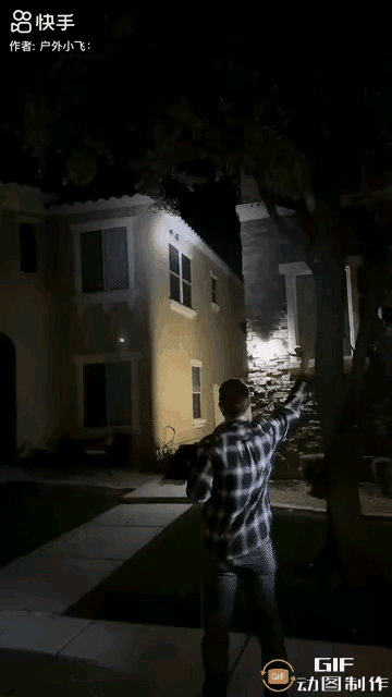 有人能对两只落难的赛鸽下这狠手！那可是拼尽全力比赛却迷了路的小生命，累得只能