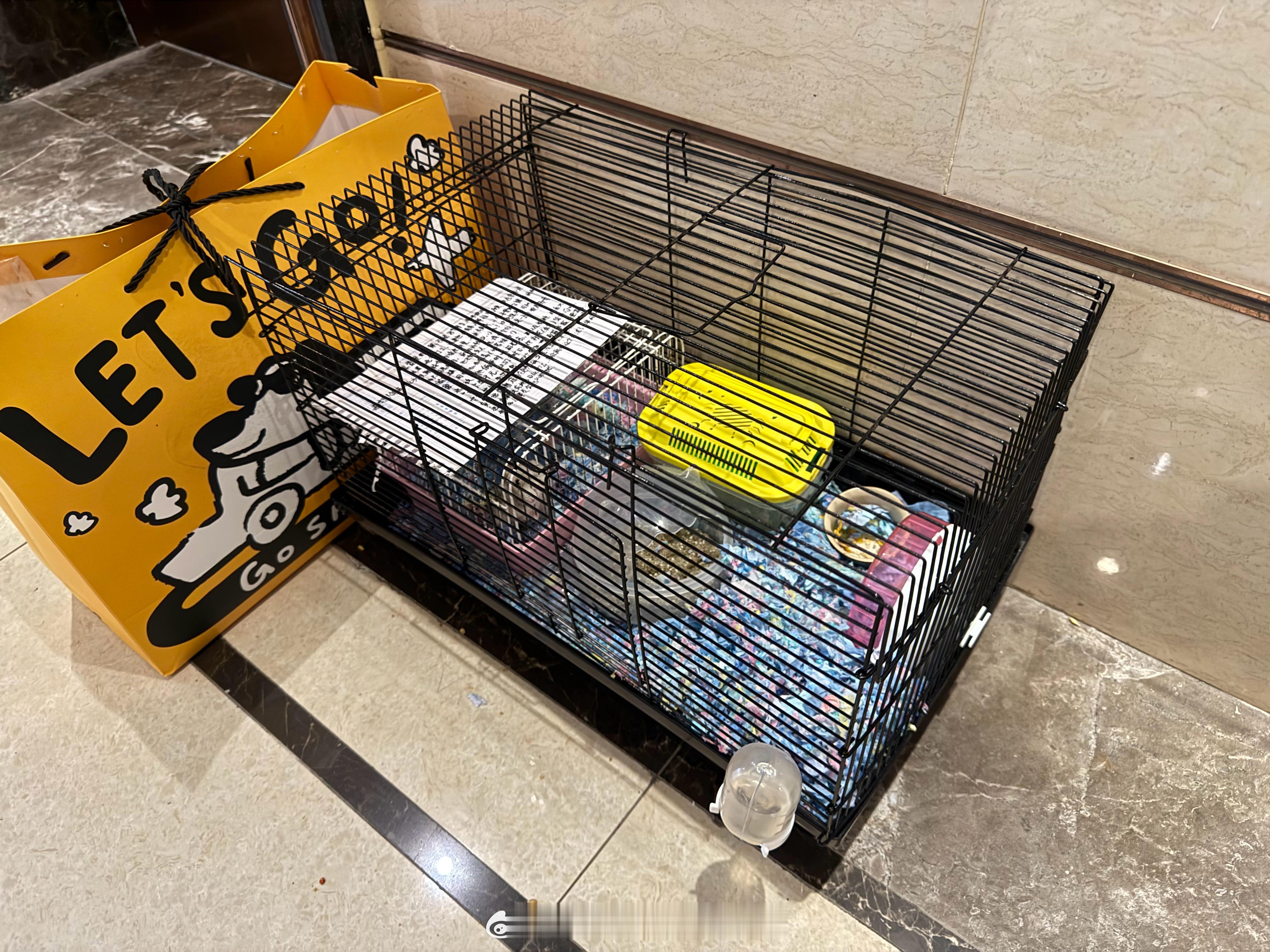 这些人怎么能做出这样的举动呢？直接就弃养了。有点过分了啊朋友。小动物