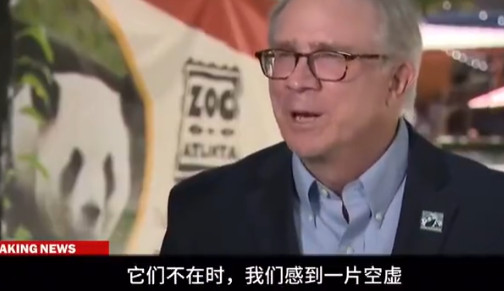 中国大熊猫抵达美国，一路警车护送人群欢迎，亚特兰大动物CEO一句话让美媒炸锅！大