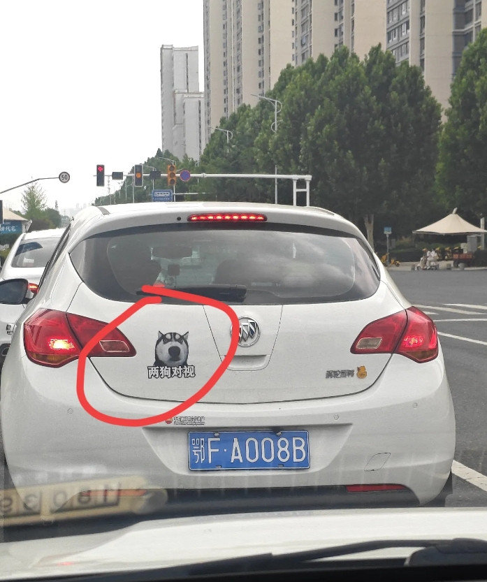 贴这种车标的司机，究竟什么心理呢？自以为很幽默？
