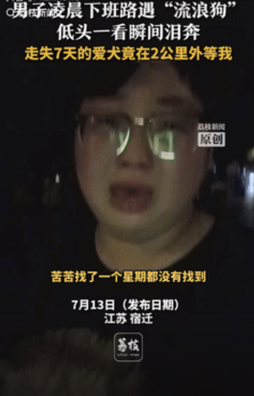 “太有灵性了！”近日江苏，一男子的宠物狗丢失一周，到处发寻狗启事都没找到，不料半