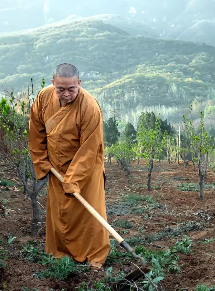你释永信不管是否是做样子，但这样做事总比没有做强。一旦忘记了佛教初心，才是最可
