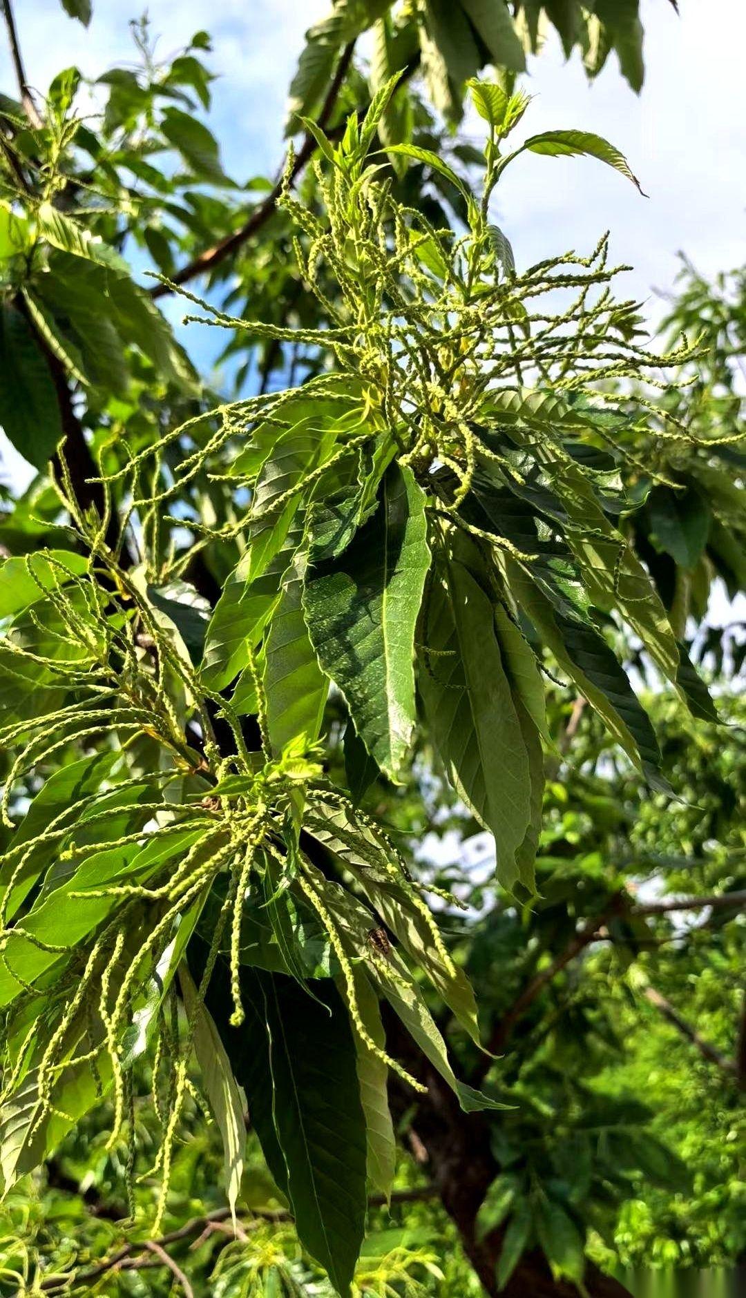 我跟你说，现在最顶级的姐，已经不跟你玩什么情情爱爱那套了。39岁，硅谷大厂，年