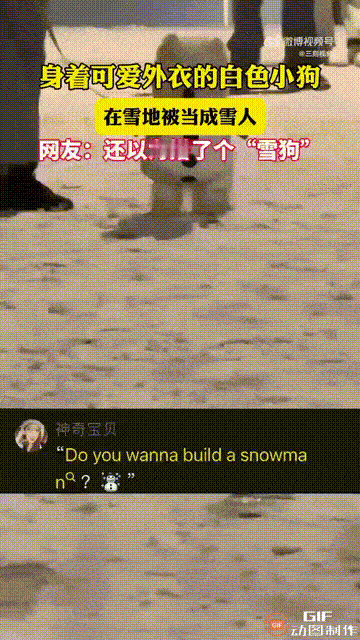 山东一名女子下雪天出门时，在路上看见一只浑身雪白的小狗，刚开始她以为那是别人用雪