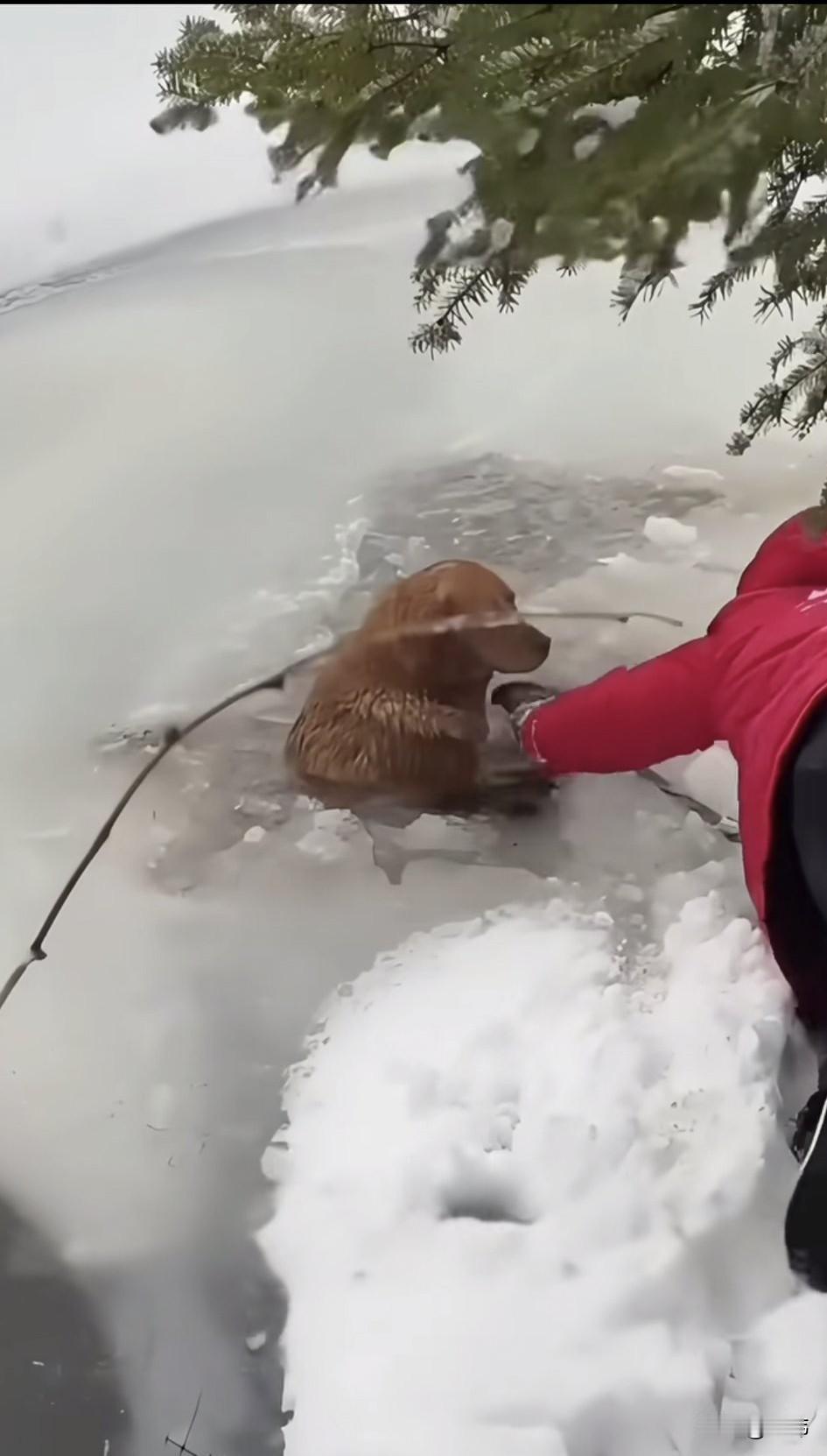泪目了！这天大雪纷飞，到处都是冰雪的世界，一位小姐姐和朋友去公园欣赏雪景，当他们