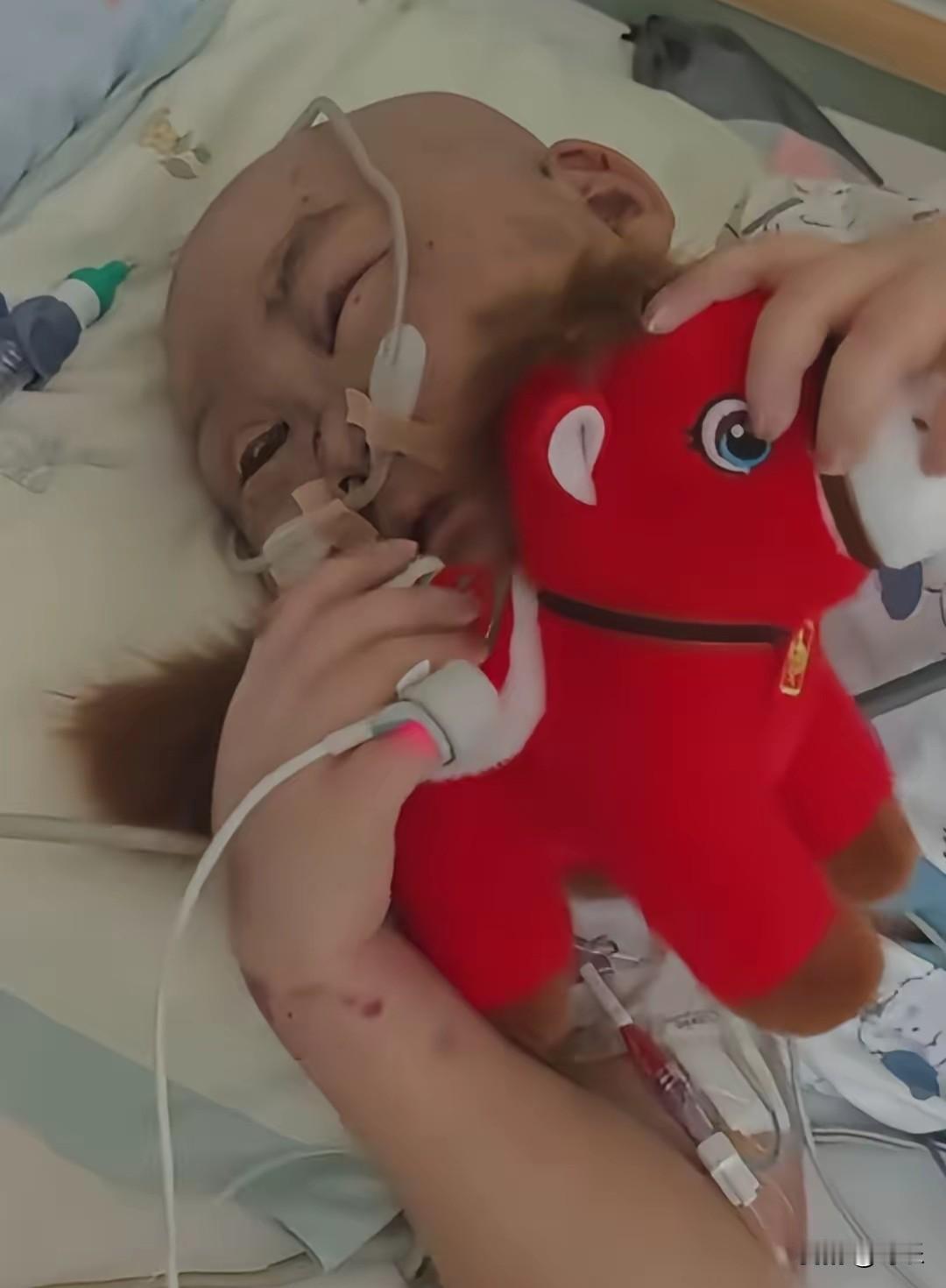 泪目！白血病晚期儿子的临终心愿：想要一只红布马，爸爸的回应看哭全网儿子确诊