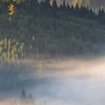 养养慢慢明白，人生的福气，藏在心态里。同样的生活，有人终日烦闷，有人岁岁安然。