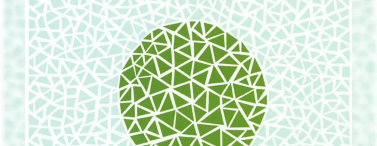 如果2025年你需要换驾照，而你有色盲、色弱、视力不好或者肢体残缺等问题，你会怎