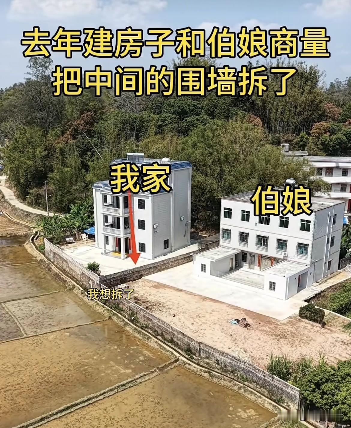 去年建房子和伯娘商量，把中间的围墙拆了，这样两家串门也方便。伯娘却选择保持