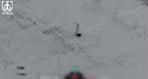 1名俄军士兵假扮企鹅出现在乌克兰的雪地中，但他缺少常识，因为企鹅只生活在南极圈。