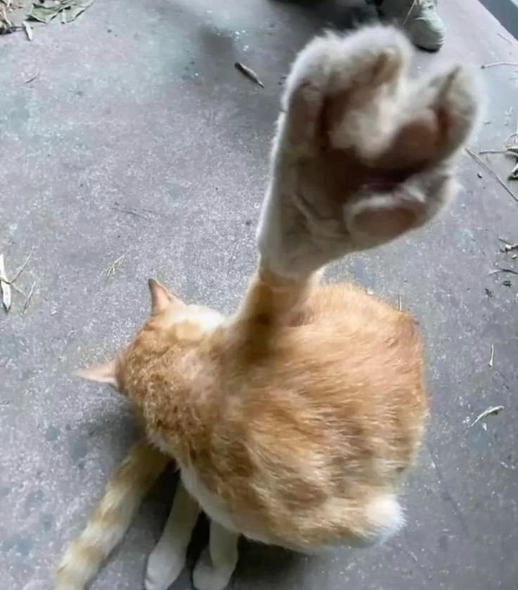 分享图片​​​