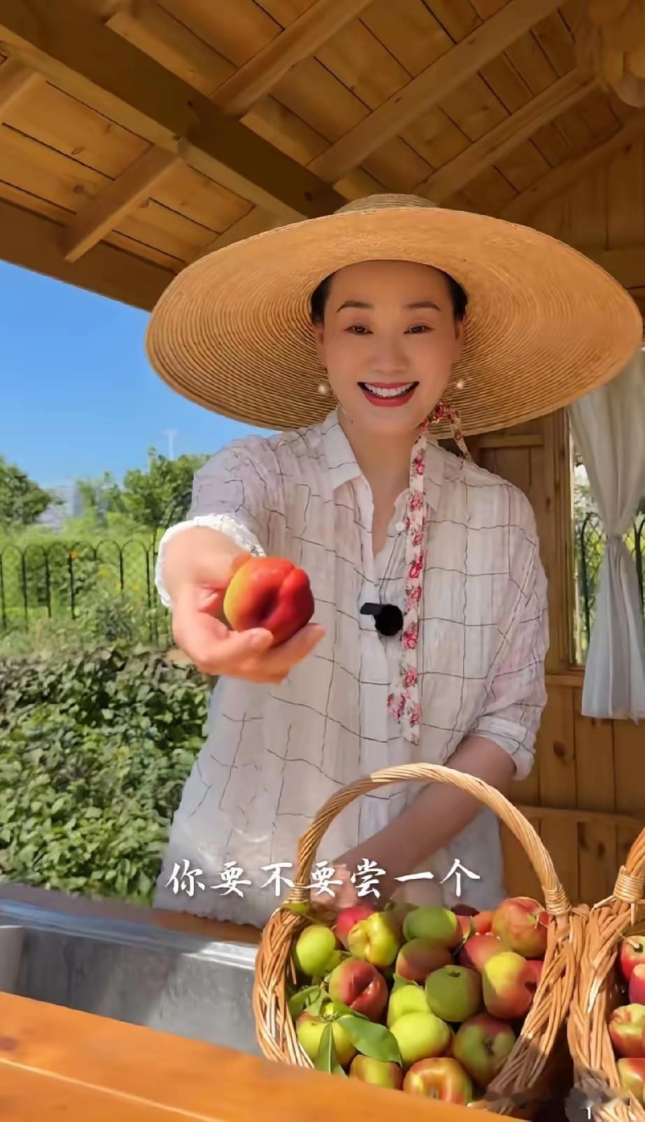 林依轮老婆西华的小日子，过得真是爽歪歪！估计连王母娘娘，见了都得羡慕！54岁