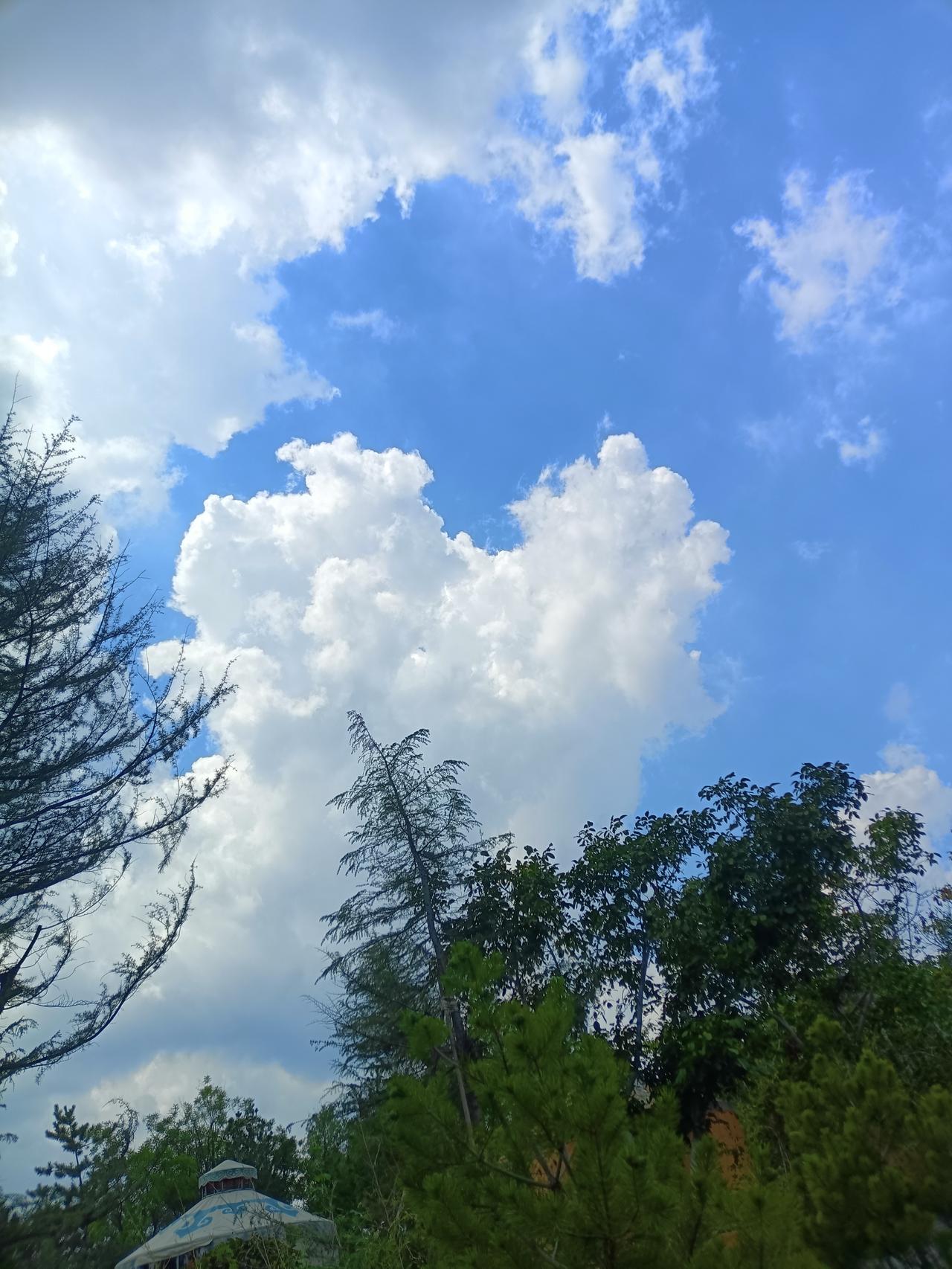 昨晚的风好大，吹的人阵阵凉意，地下的树叶像龙卷风一样，在天上飞舞没想到是早上