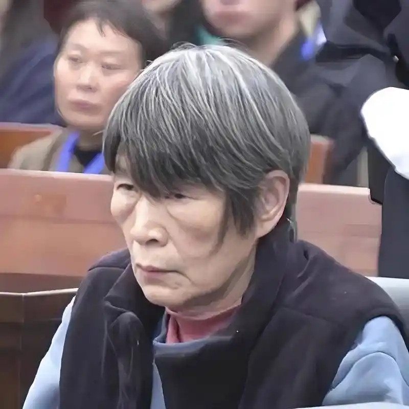 梅姨被逮捕以前大家怀疑梅姨会不会是余华英？梅姨会不会是一个根本不存在的虚构人物？