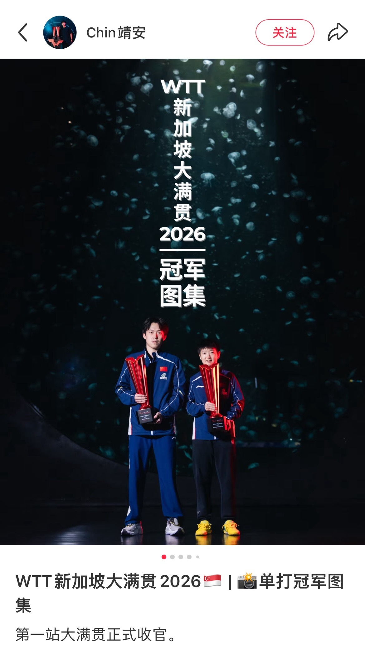 二位鲨鱼图摄影师更新🤲🏻🦈🦈