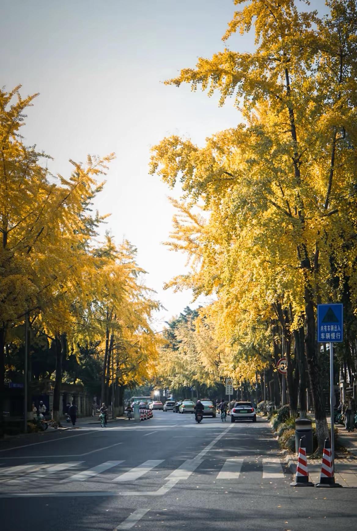 冬韵感悟时间如流沙，不经意间从指缝中流走。悠悠岁月，像一本被风吹开的书页，