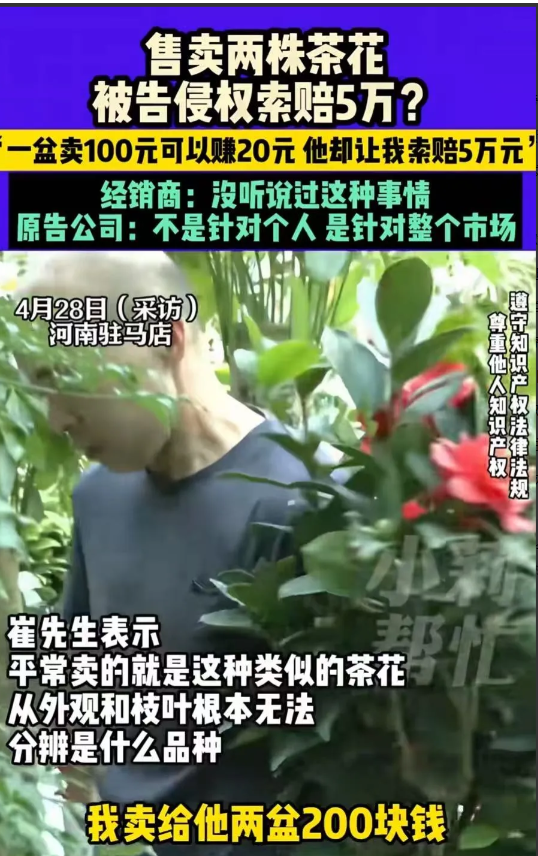 “碰瓷都到这地步了？”河南驻马店，一花店老板因卖了两株茶花，只赚了40块钱，不料