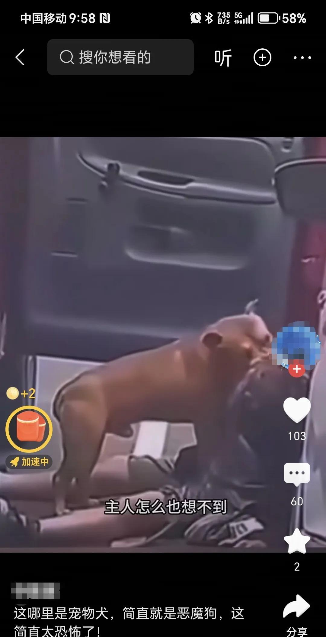 可怜的狗主人，竟然惨遭宠物狗啃食。刷到一条视频，一个狗主人不知是患病了还是怎么