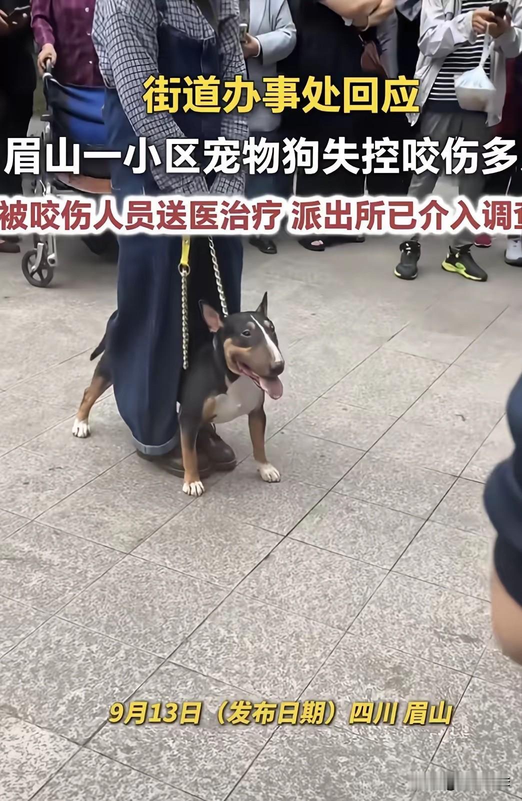仁寿县这个女狗主人一定要多判几年！否则不能起到威慑效果！还会有更多无辜的人被恶