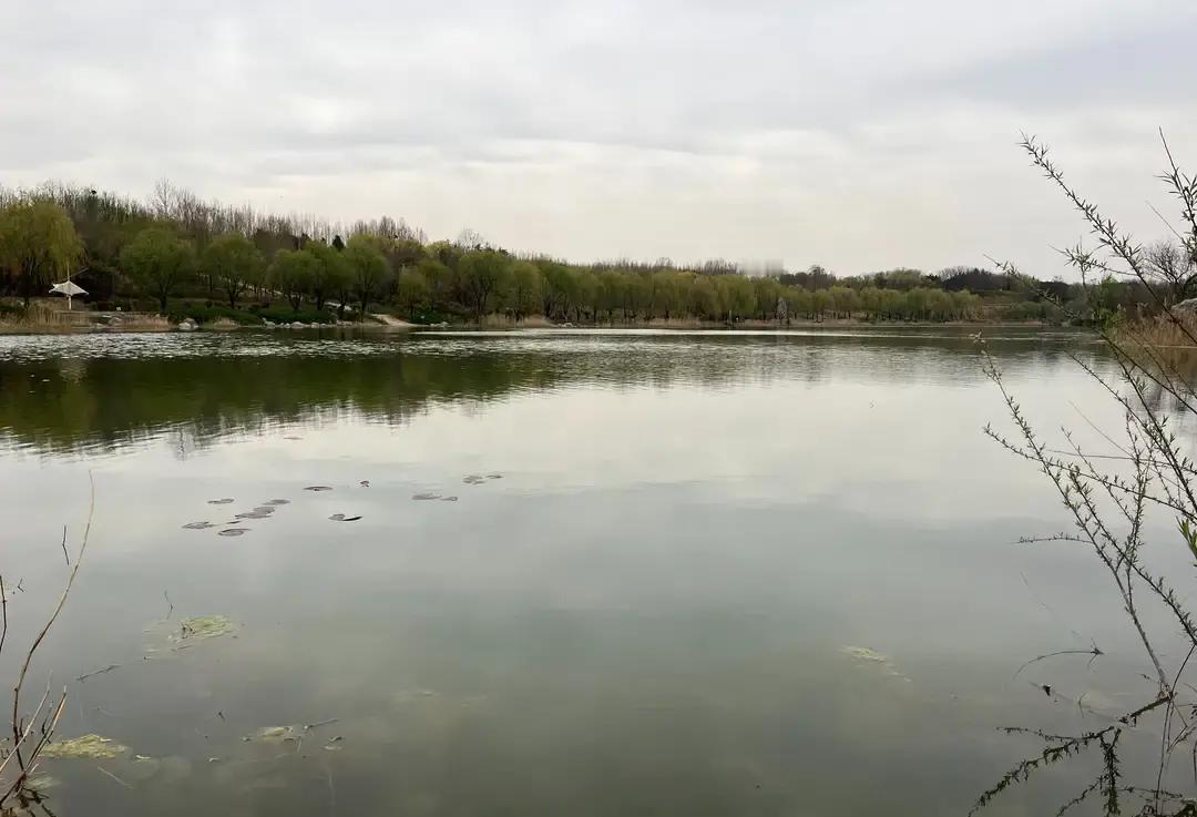 说出来你可能不信，问十个郑州人哪个公园最大，九个都得答错都以为是市里那几个老牌