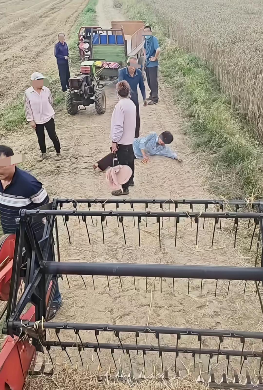 河南和湖北对待收割机的新闻，频频被推送过来，放在一起看，确实能看出一些问题！