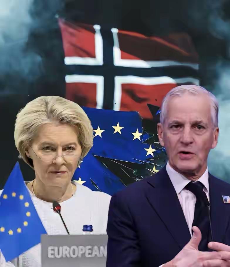 日前，富的流油的挪威再次拒绝了欧盟委员会主席冯德莱恩发出的入盟邀请。挪威首相斯特