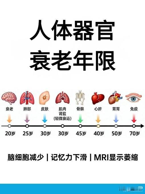 器官衰老时间表男女衰老差异人类衰老