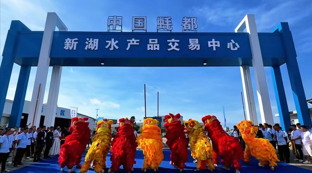 粤西最大活鲜市场今日开张！湛江人的“海鲜自由”，这回稳了？2026年5月20