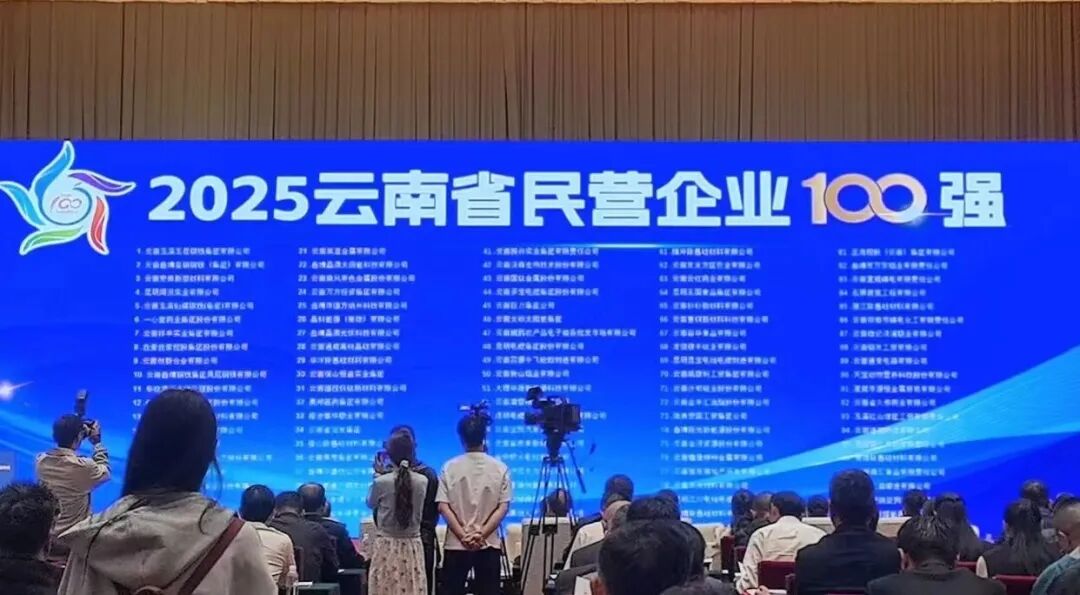 2025云南省民营企业100强榜单发布!