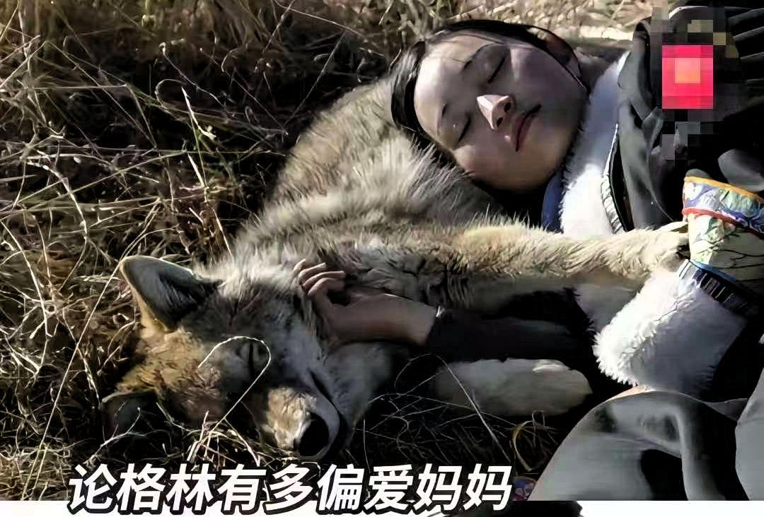 看到李微漪这事儿，真是刷新了不少人对生活的认知47岁不结婚不生娃，为了一只