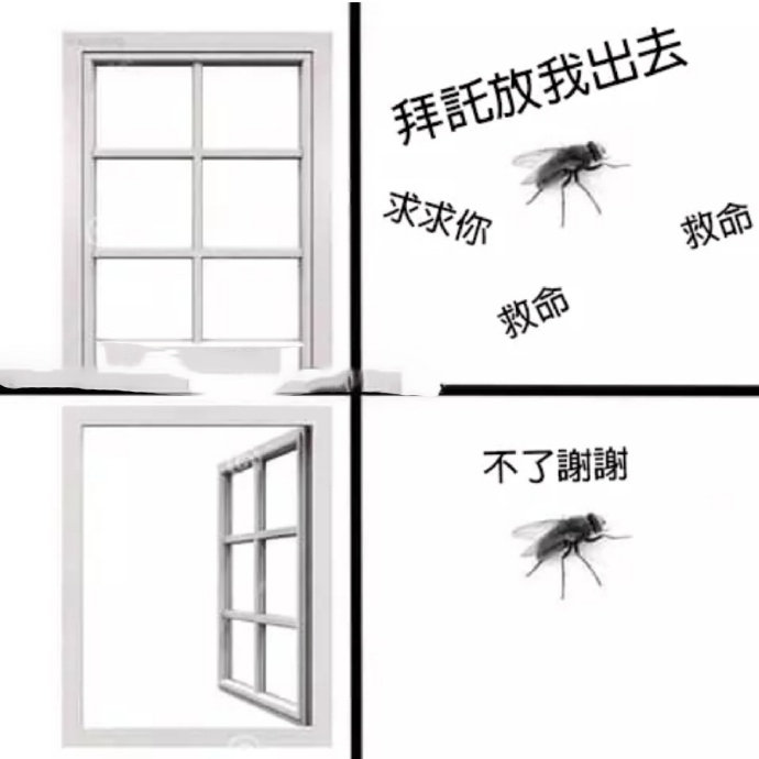 这是我家的苍蝇