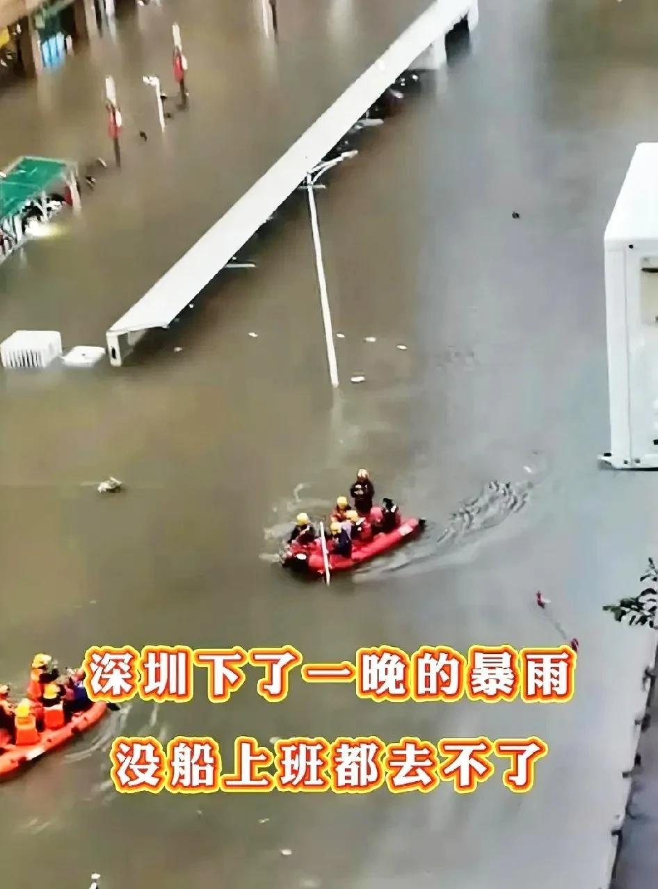 大城市的地下究竟有多脏？昨晚深圳下了一晚上大雨，水排不走了，积水看起来黑乎乎的，