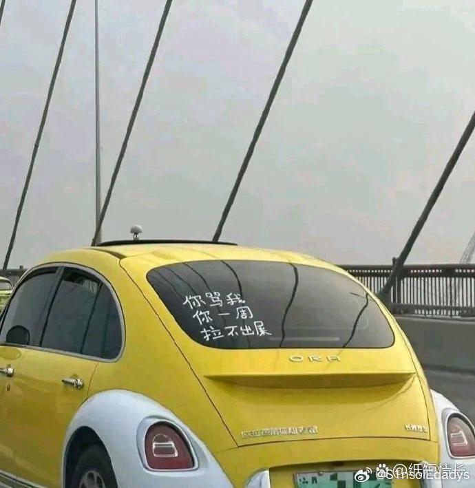 在街头偶遇一辆外观奇特的车，正欲开口评论其颜值，却瞥见后窗上的字，瞬间让我哑口无