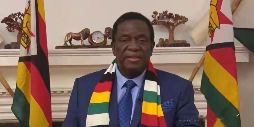 津巴布韦在2026年2月25日正式出台政策，宣布无限期暂停锂原矿和锂精矿出口，这