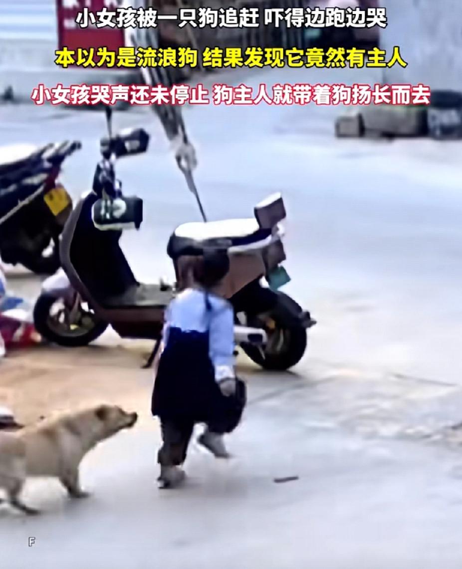 这种人不配养狗！女孩被狗追吓得尖叫大哭逃跑，女孩哭声还没停，狗主人骑车驮着小狗扬