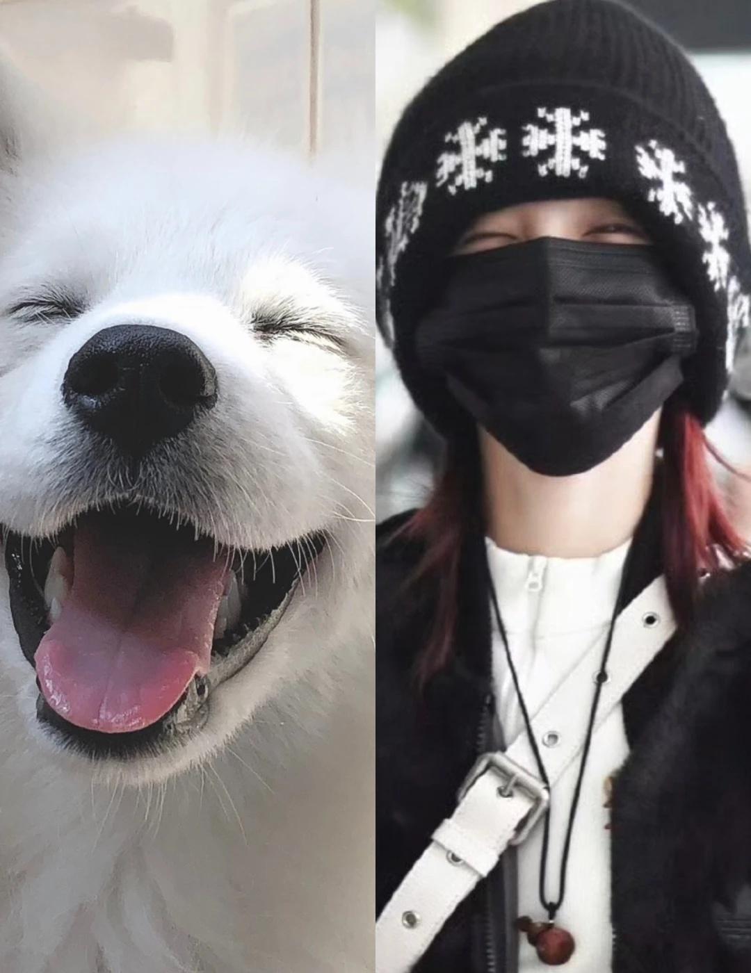 没有宋雨琦对不上的狗1️⃣8️⃣1️⃣感觉口罩下面就是这样的表情啊～好久好久