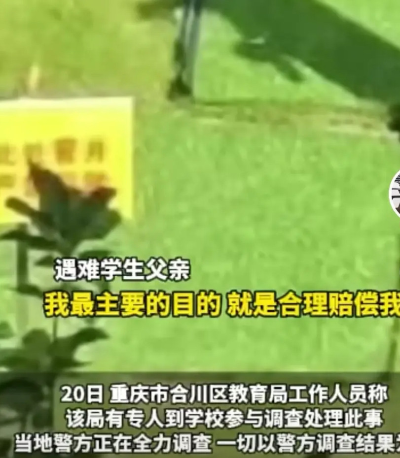 重庆的一位大学生掉粪坑里淹死了，学校存在重大过失，居然搞反人类设计，简直就是在制