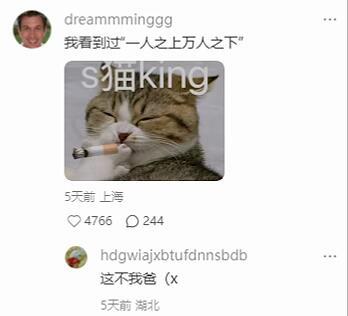 只有看过小说才知道的梗