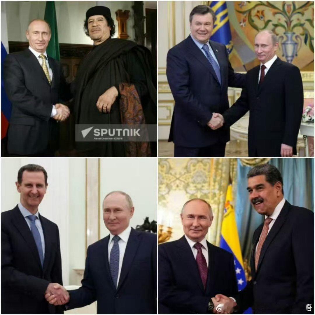 秦岭笑谈俄罗斯为什么总会看走眼，小弟们压错宝，这是玄学？