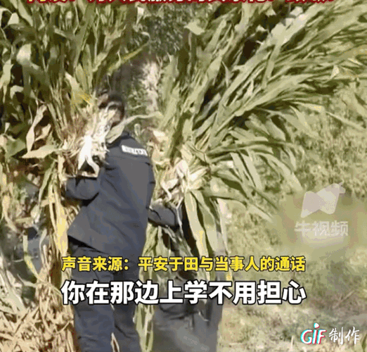 这下好了，全国人民都知道了！近日，新疆于田一男生向公安求助：“家中只有妈妈一个